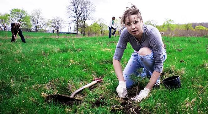 Ekonomia społeczna: służyć i zarabiać