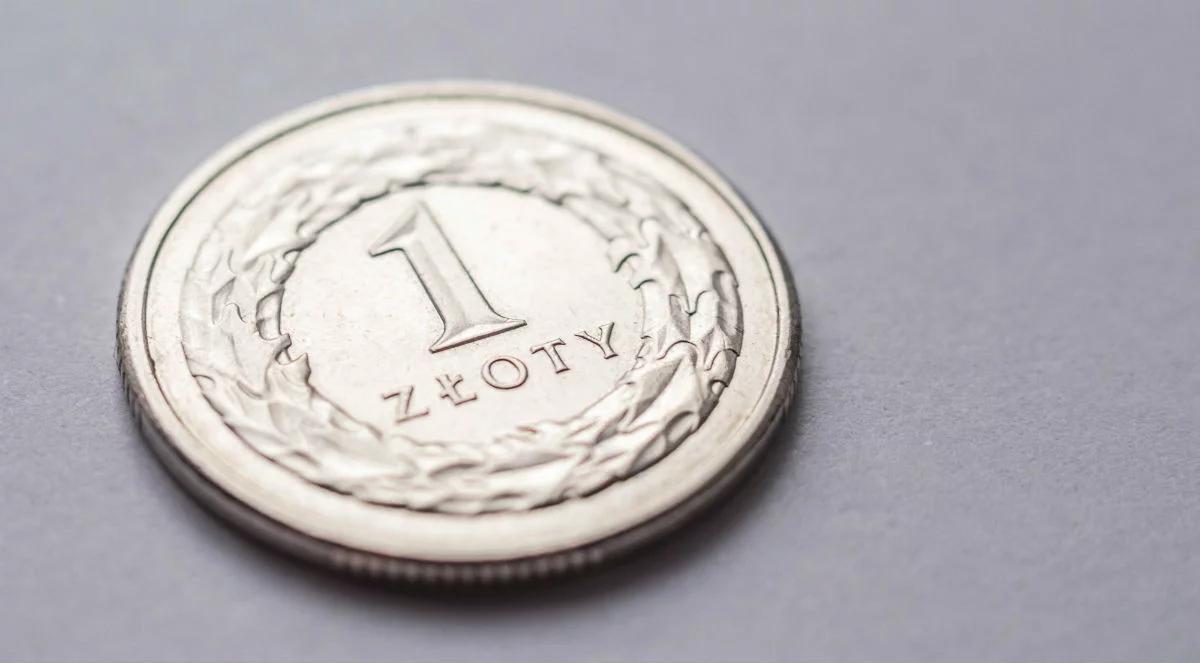 Ekspert: poważne osłabienie złotego
