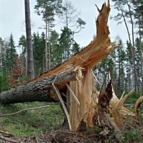 Małopolskie: ponad 96 mln zł na odbudowę po klęskach żywiołowych