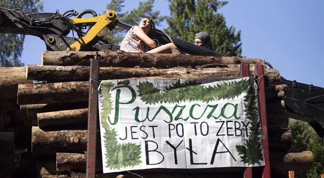 "Emocje związane z tym, co się dzieje w Puszczy Białowieskiej sięgają zenitu"