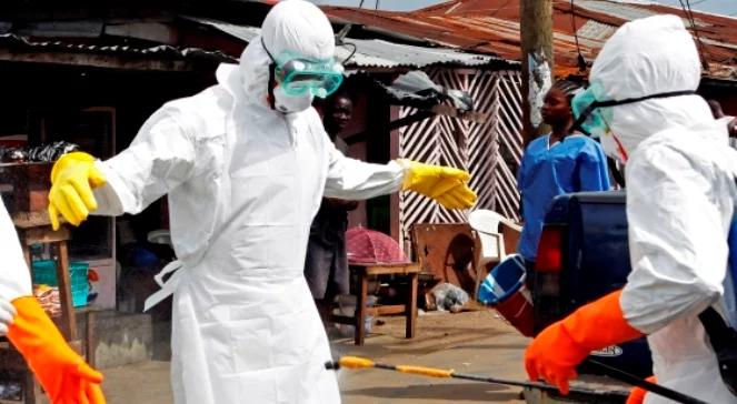 Wkrótce nawet 20 tysięcy zarażonych wirusem Ebola?