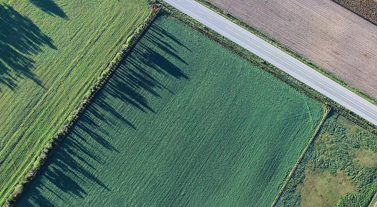 Od 26 czerwca nie tylko rolnik może kupić sobie hektar ziemi rolnej