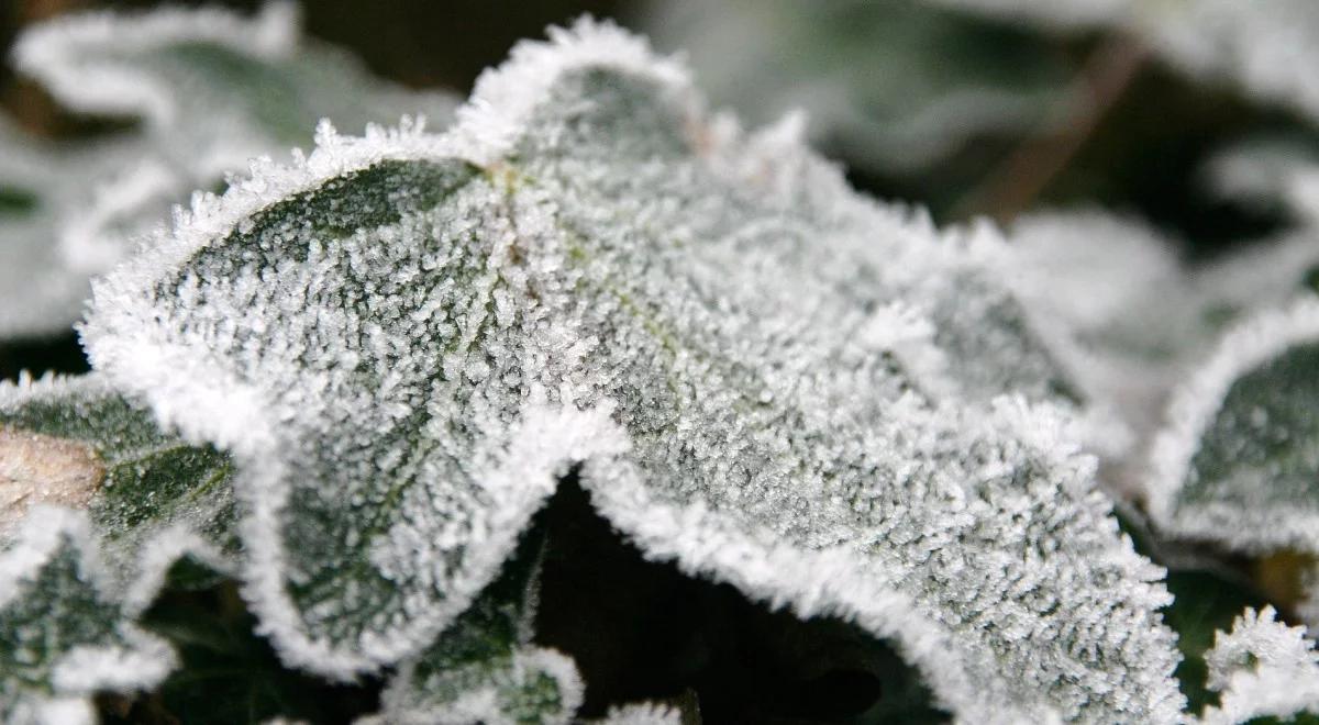 Prognoza pogody: piękny, ale mroźny ostatni dzień roku