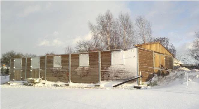 Huragan pozbawił dachu nad głową uratowane od śmierci zwierzęta