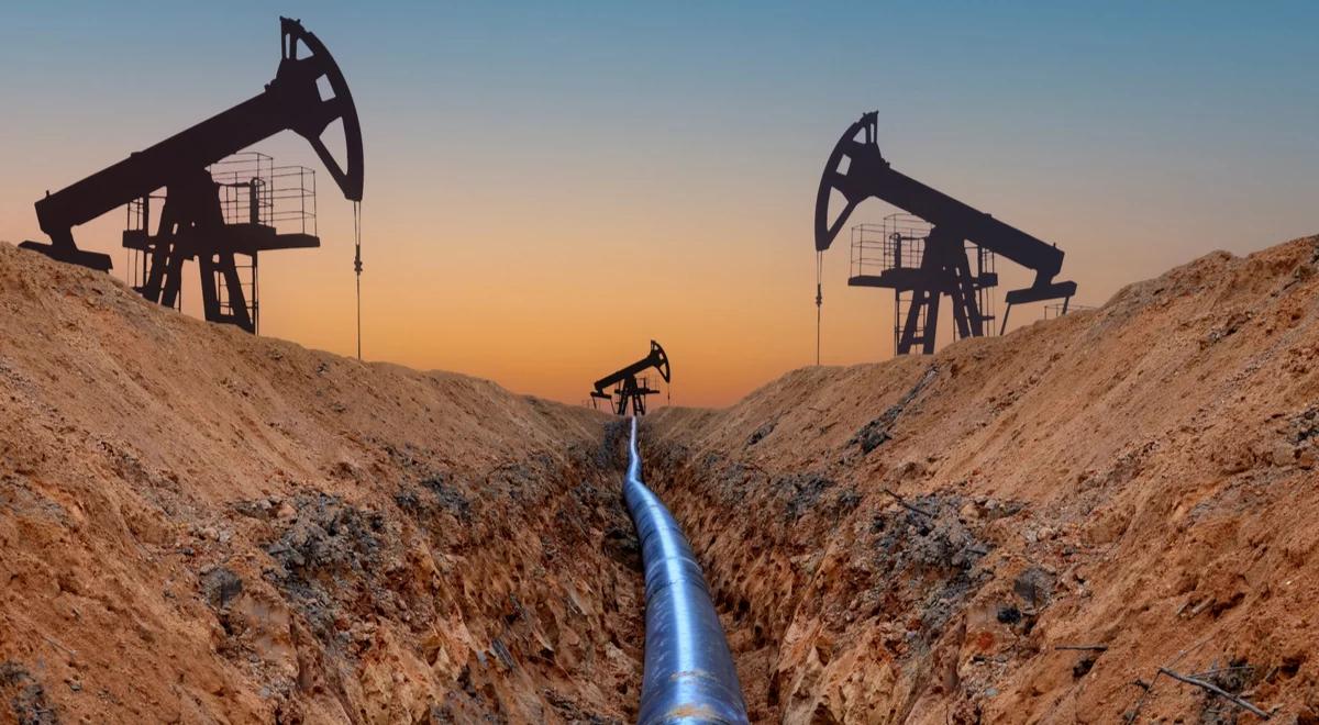 UE importuje mniej surowców energetycznych z Rosji, ale płaci więcej. Czy sankcje rzeczywiście działają?