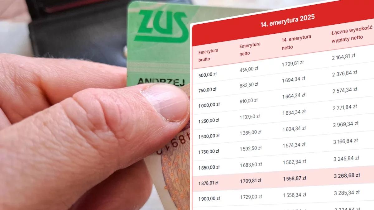 14. emerytura 2025. Kiedy wypłata? Ile „na rękę”? Kto dostanie? [KOMPLETNY PRZEWODNIK]