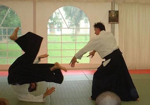 Waszyngton: polski dyplomata dał pokaz aikido