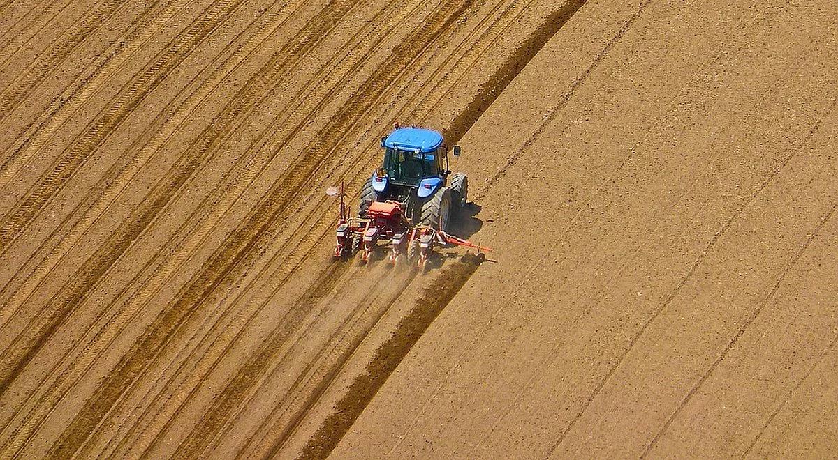 Grunty rolne nie tylko dla rolników. Senacka komisja za liberalizacją przepisów