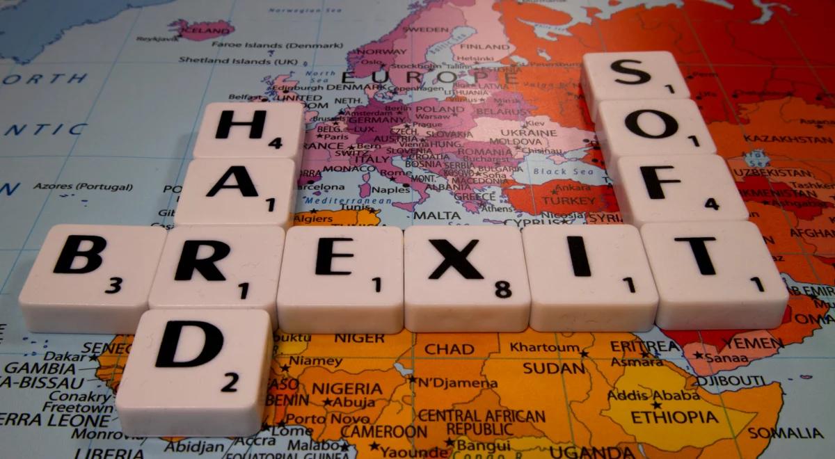 Czy będzie "twardy" Brexit? O tym dziś zdecydują ministrowie ds. europejskich w Luksemburgu 