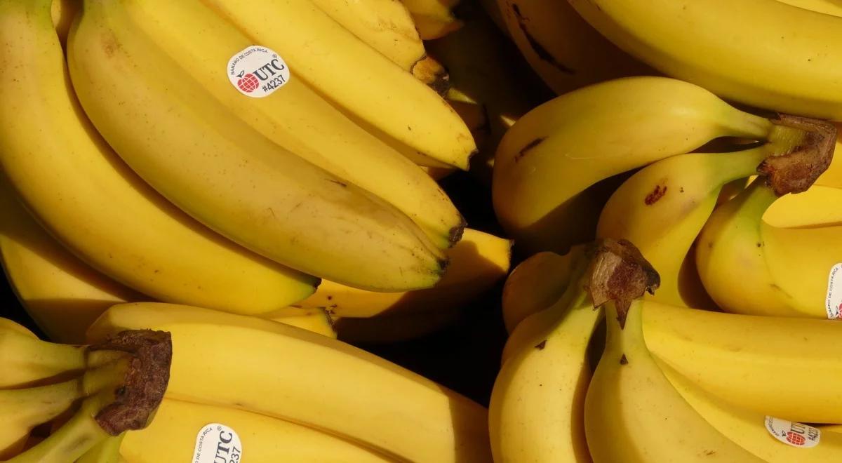 Biały proszek w transporcie bananów. Akcji policji w sklepach Lidl na Pomorzu