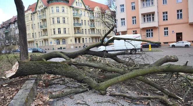 Wichury nad Polską. Tysiące gospodarstw bez prądu