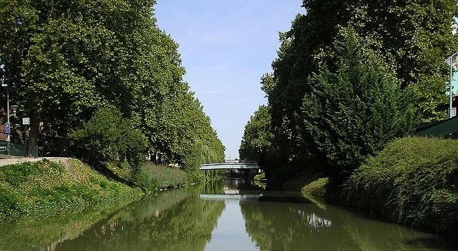 Francja we łzach. 42 tys. platanów do wycinki