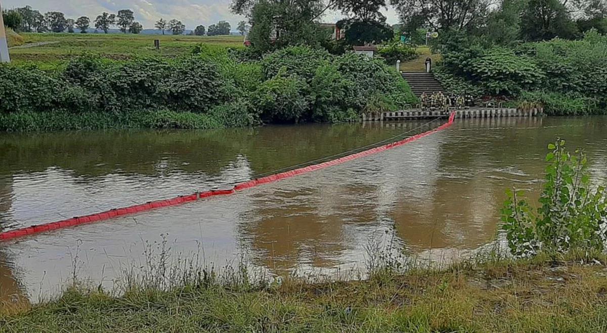 Z Czech do Polski płyną śnięte ryby. Wojewoda śląski: stawiamy zaporę na Odrze