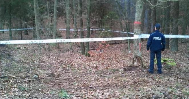 Zidentyfikowano ciało kobiety znalezione w lesie