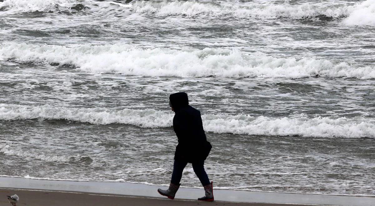 Synoptycy ostrzegają: silny wiatr da się we znaki. Wydano alerty IMGW