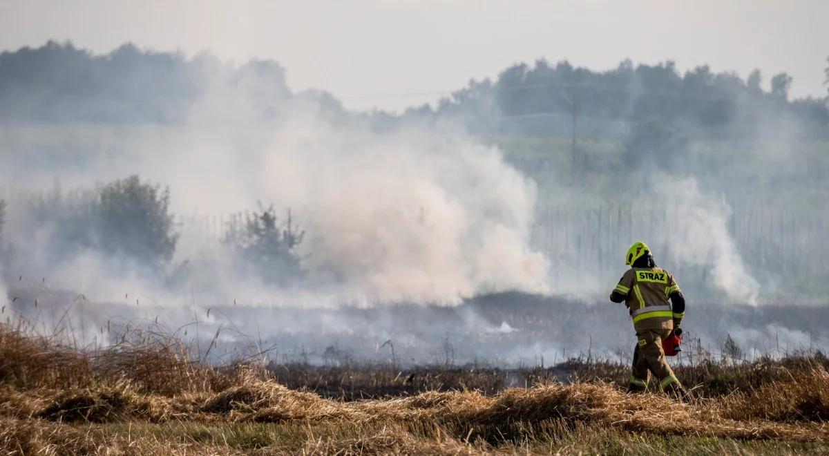 Pracowita sobota strażaków. Tysiące interwencji, setki pożarów