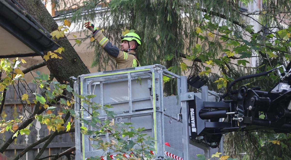 2 700 interwencji po wichurach nad Polską. Strażacy wyjeżdżali do podtopień i połamanych drzew