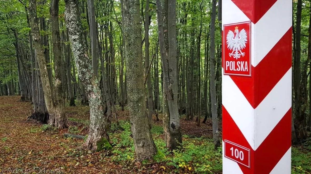 Ponad pół tysiąca prób nielegalnego przedostania się do Polski. Nowy raport służb ws. granicy z Białorusią