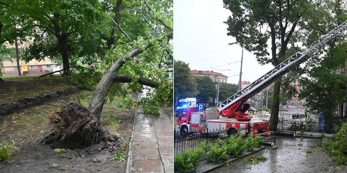 Strażak rażony piorunem, powyrywane drzewa. Nawałnice nad Polską