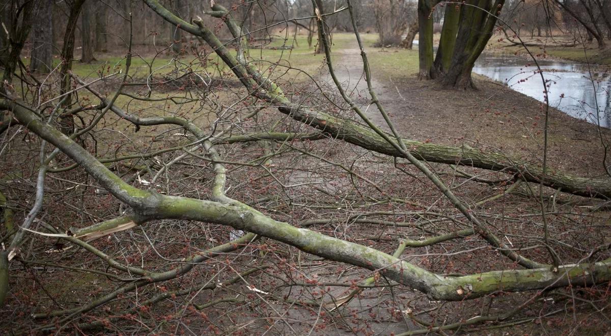 Ponad 700 interwencji strażaków. IMGW ostrzega przed kolejnymi burzami