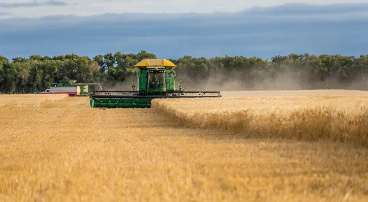 Tranzyt do 1,5 mln ton ukraińskiego zboża przez Polskę. Większe ilości na razie niemożliwe