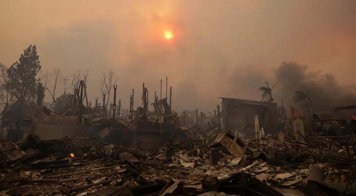 Pożary w Los Angeles. "Sceny, które znamy tylko z filmów"