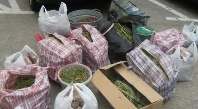 Policjanci przechwycili 6,5 kg narkotyków