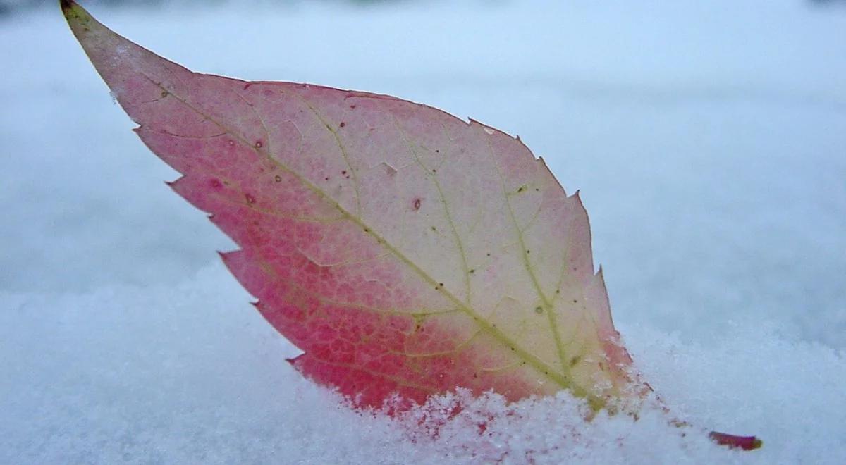 Prognoza pogody: ostatni ciepły dzień. W weekend spadnie śnieg