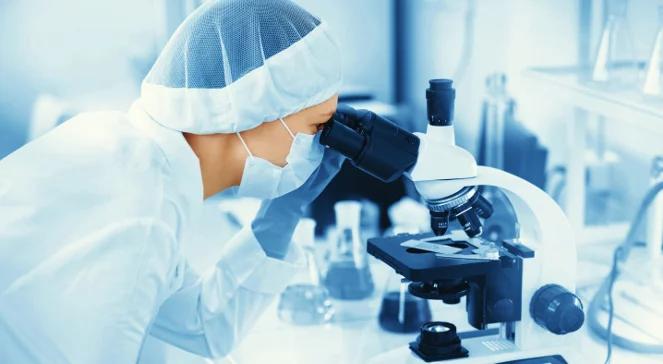 Wielki sukces Polaków. Wydrukowali pierwszą na świecie bioniczną trzustkę z naczyniami
