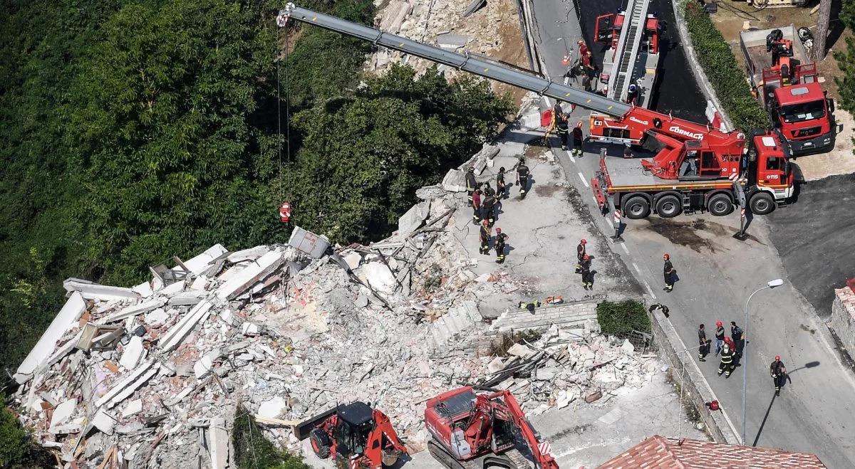 Kotka przeżyła pod gruzami aż 12 dni po trzęsieniu ziemi we Włoszech