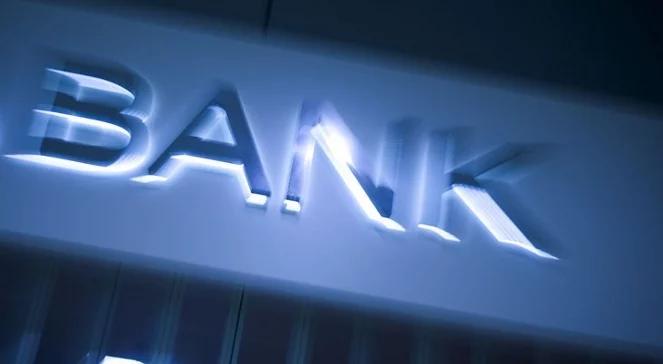 Sezonowa poprawa nastrojów bankowców. Indeks Pengab w górę