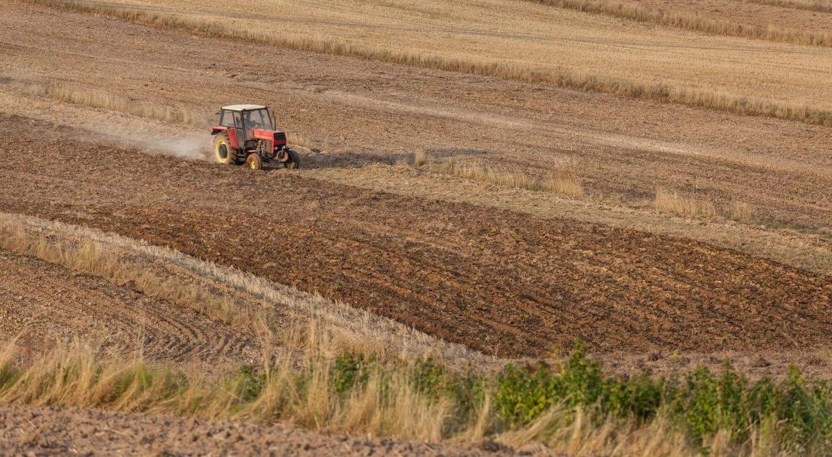 Nawozy z Rosji zalewają Polskę. Kreml może ich użyć jako broni