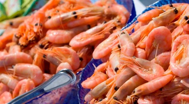 Hodowla krewetek przy biogazowni? Czemu nie. Pierwsza powstaje właśnie w Polsce