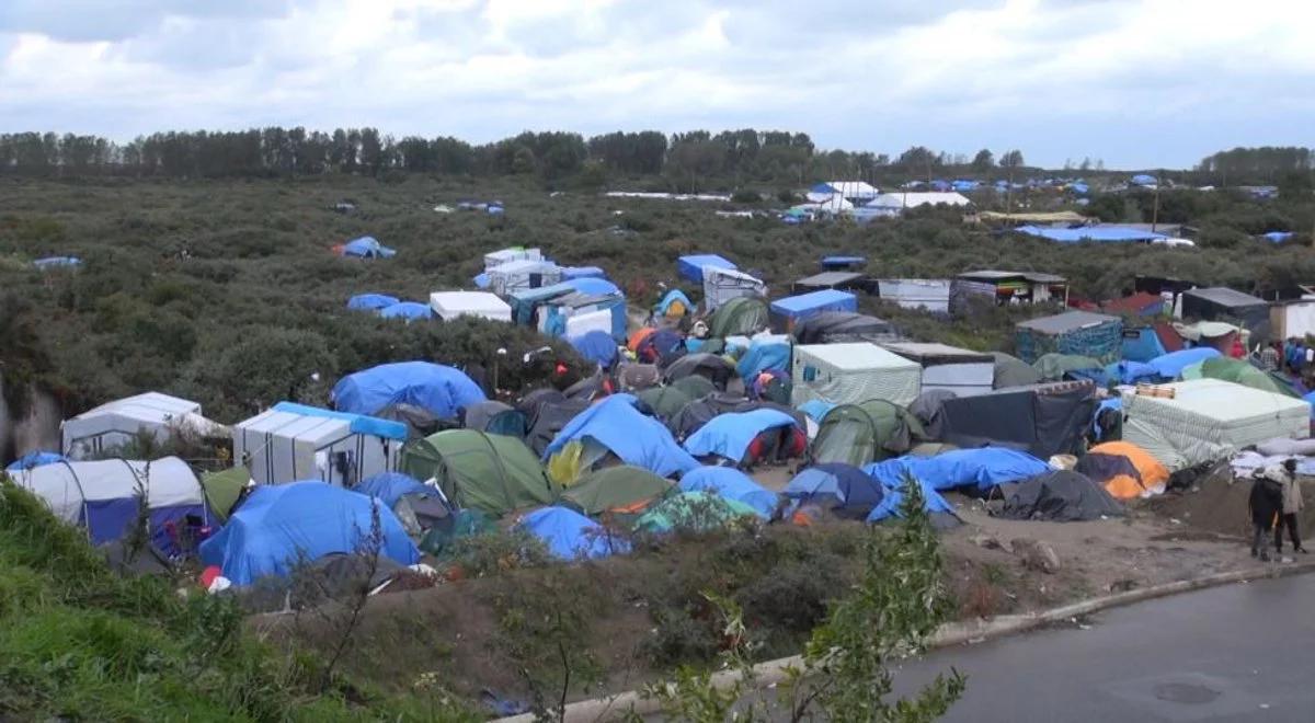 Kryzys migracyjny. We francuskim Calais ruszyła budowa żelbetowego muru