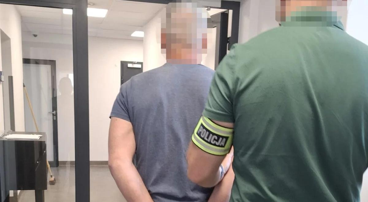 Niebezpieczne zdarzenie w Otwocku. Celowo staranował autem stado dzików