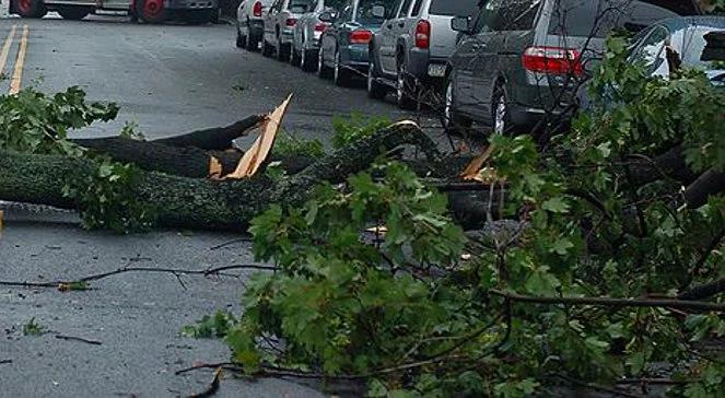 Burze nad Polską. Paczków liczy straty po nawałnicy