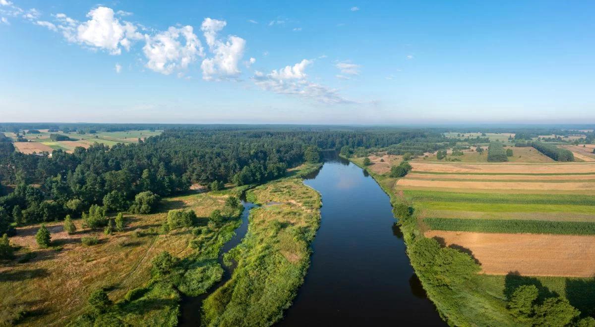 Ekolodzy ramię w ramię z rządem. Chodzi o Odrę i złotą algę