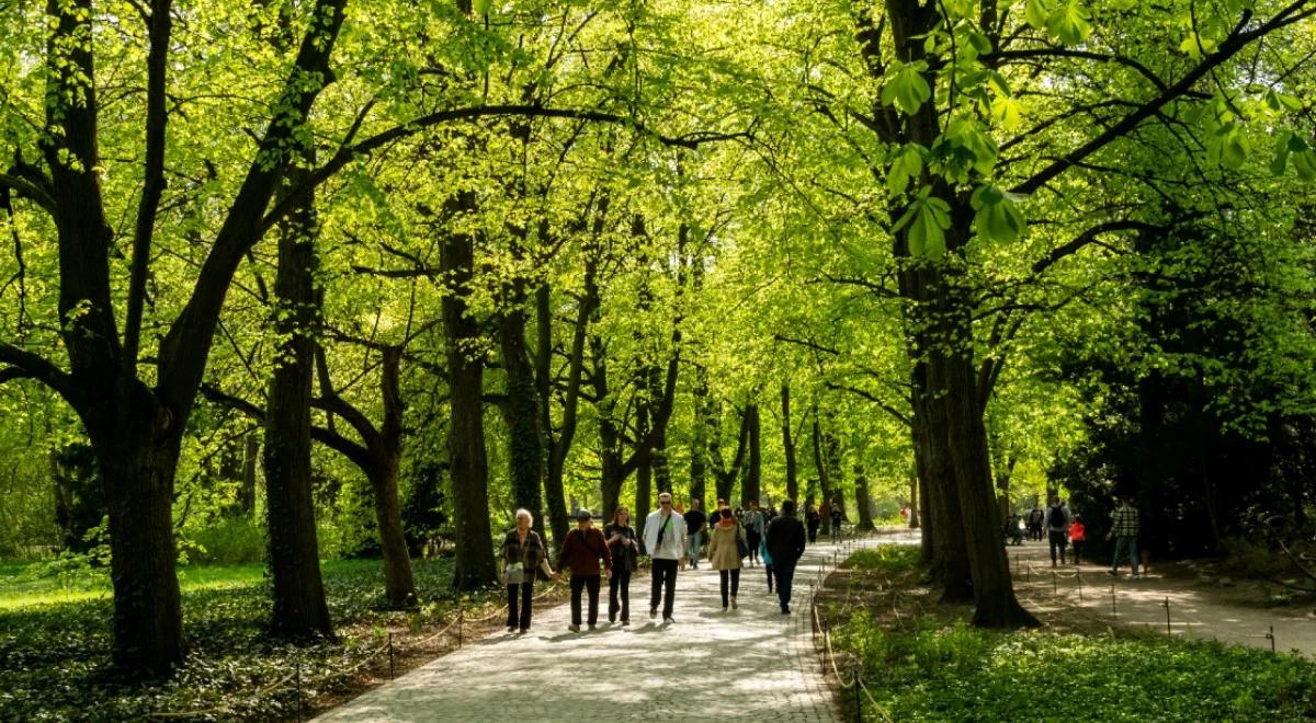 Będzie ciepło i słonecznie. Sprawdź prognozę pogody na początek tygodnia 