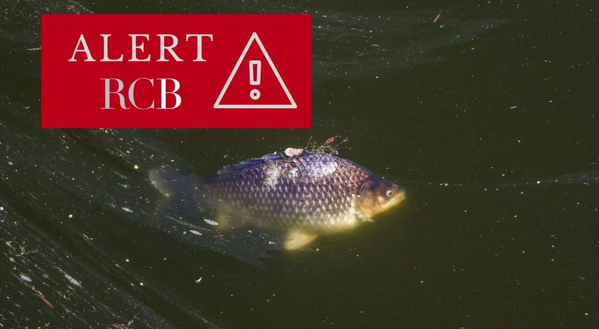 Alert RCB. Zakaz korzystania z rzeki Kłodnica. Chodzi o złotą algę