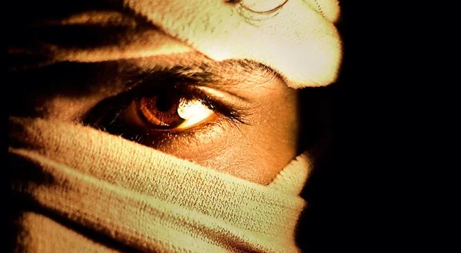 Raport nt. terroryzmu w UE: statystycznie spada liczba ataków