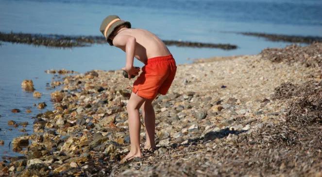 Upał we Francji. Ludzie wylegli na plaże, kąpią się w morzu