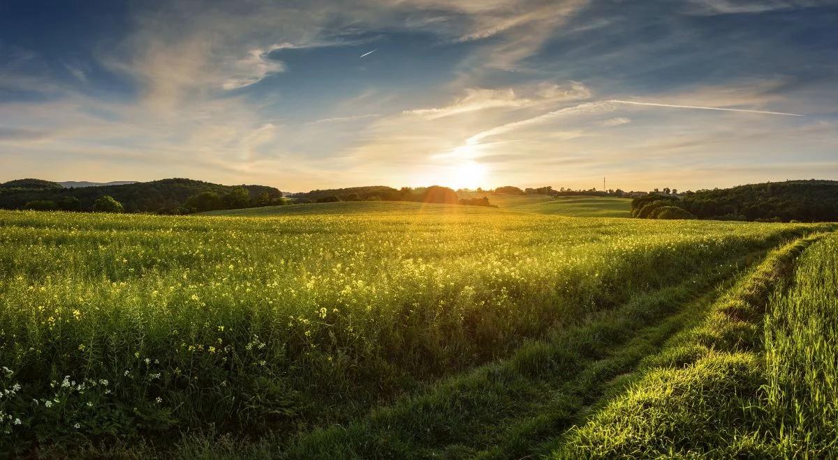 Pogoda na weekend. Czekają nas duże zmiany. Zobacz prognozę