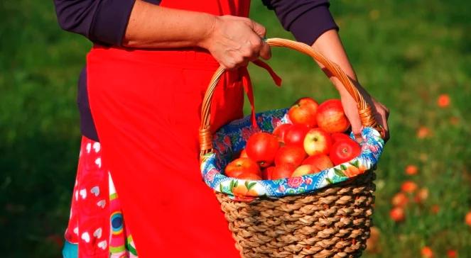 PROW 2014-2020: program małych przetwórni pomoże rolnikom z nadwyżką owoców?