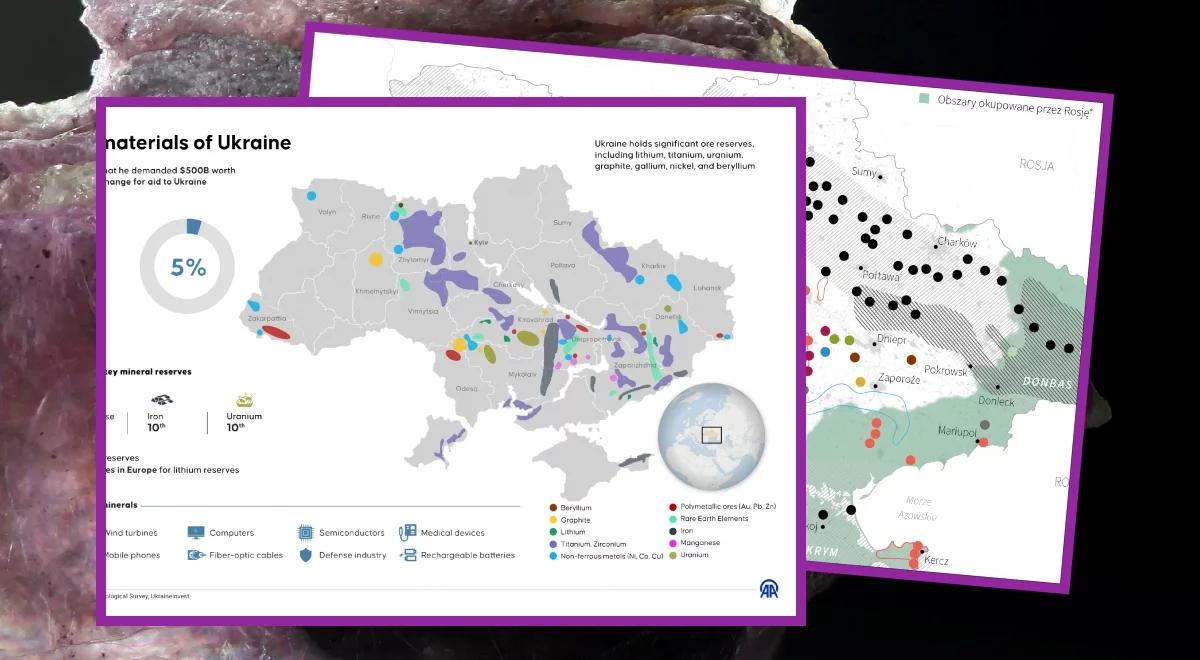 Jakie metale ziem rzadkich są w Ukrainie? Co na ich temat wiadomo?