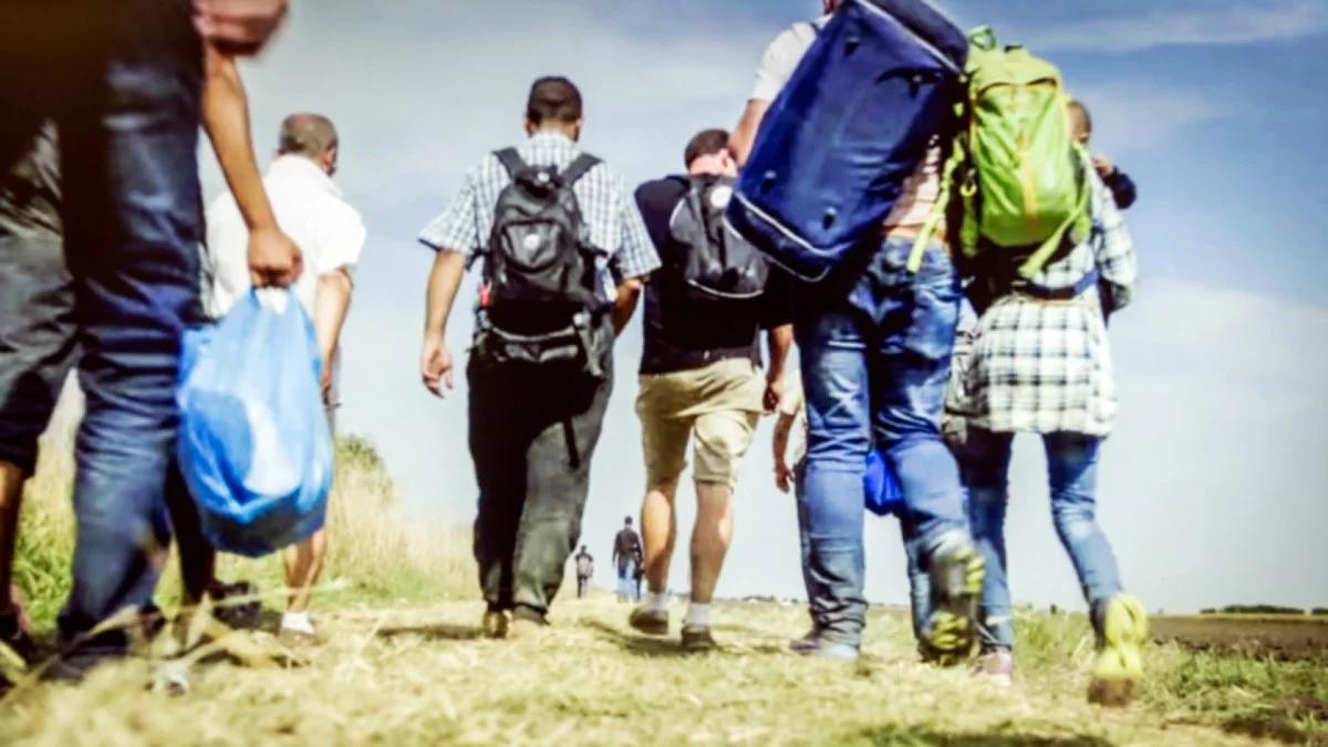 Węgry: coraz więcej nielegalnych imigrantów na granicy. "Przemyt ludzi to wciąż kwitnący biznes"