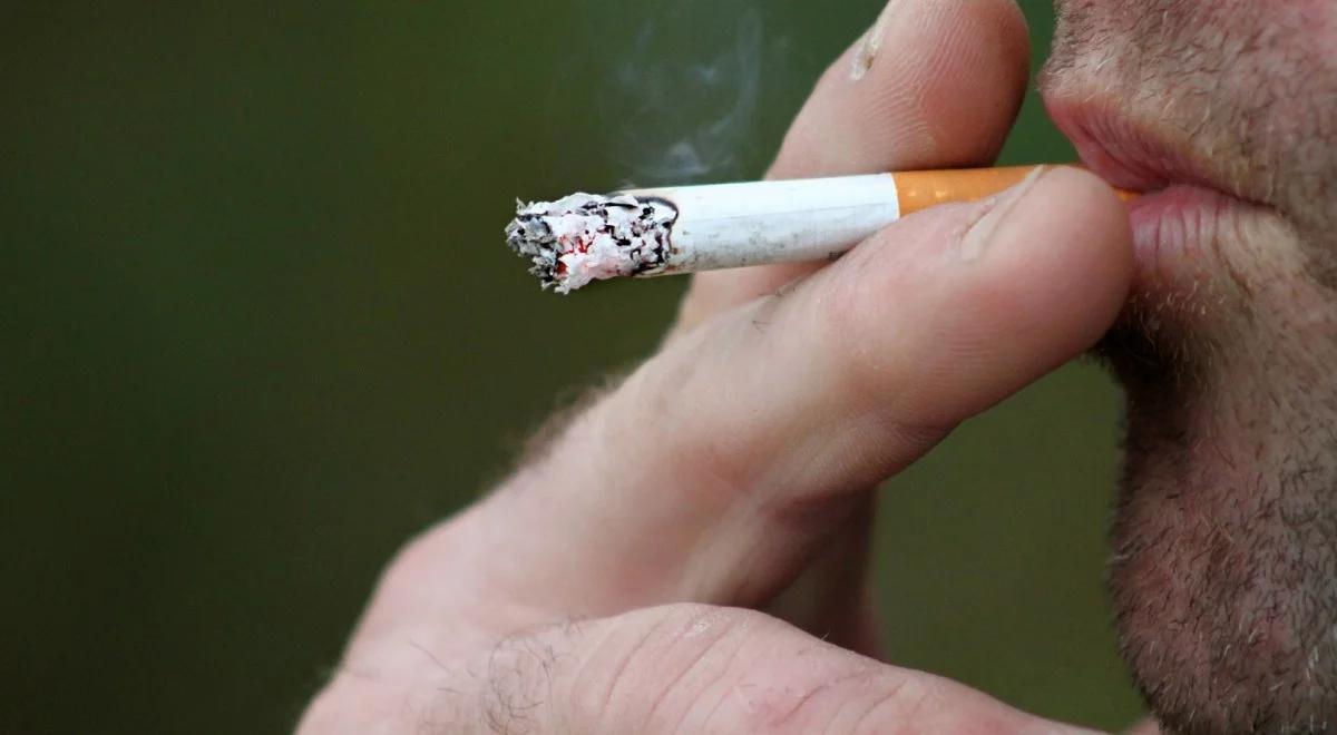 WHO bije na alarm. Raport: palenie papierosów zabija rocznie 6 milionów ludzi na świecie