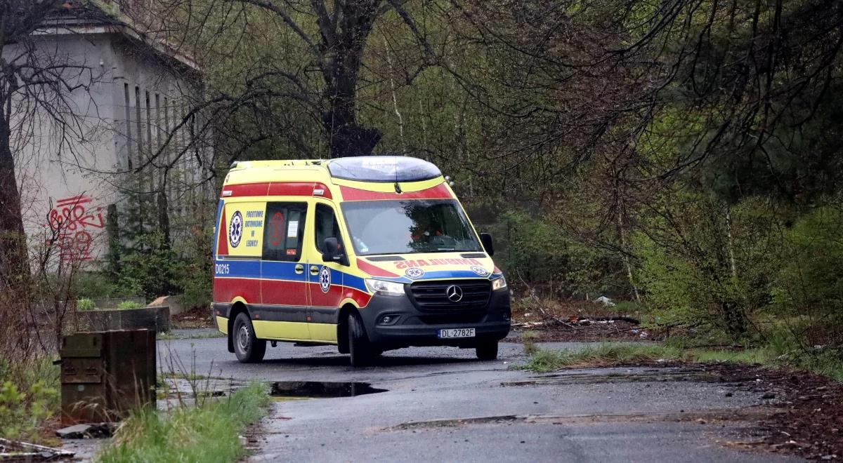 Poddębice. Psy rzuciły się na mężczyznę, nie żyje. "Miał rany kąsane"