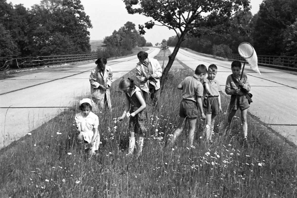 A4 jako metafora? Książka "Na środkowym pasie latem trawa była wysoka"