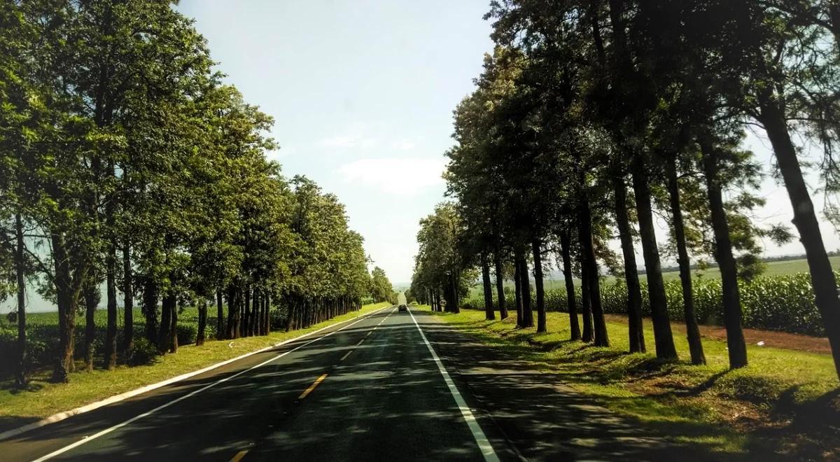 "Łącząc Europę": planowane konkursy z sektora transportu w 2016 r.