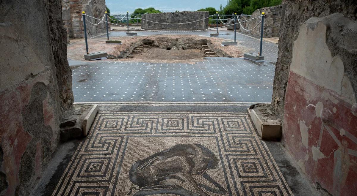 Życie po katastrofie. Pompeje zamieszkiwano przez 400 lat po erupcji wulkanu